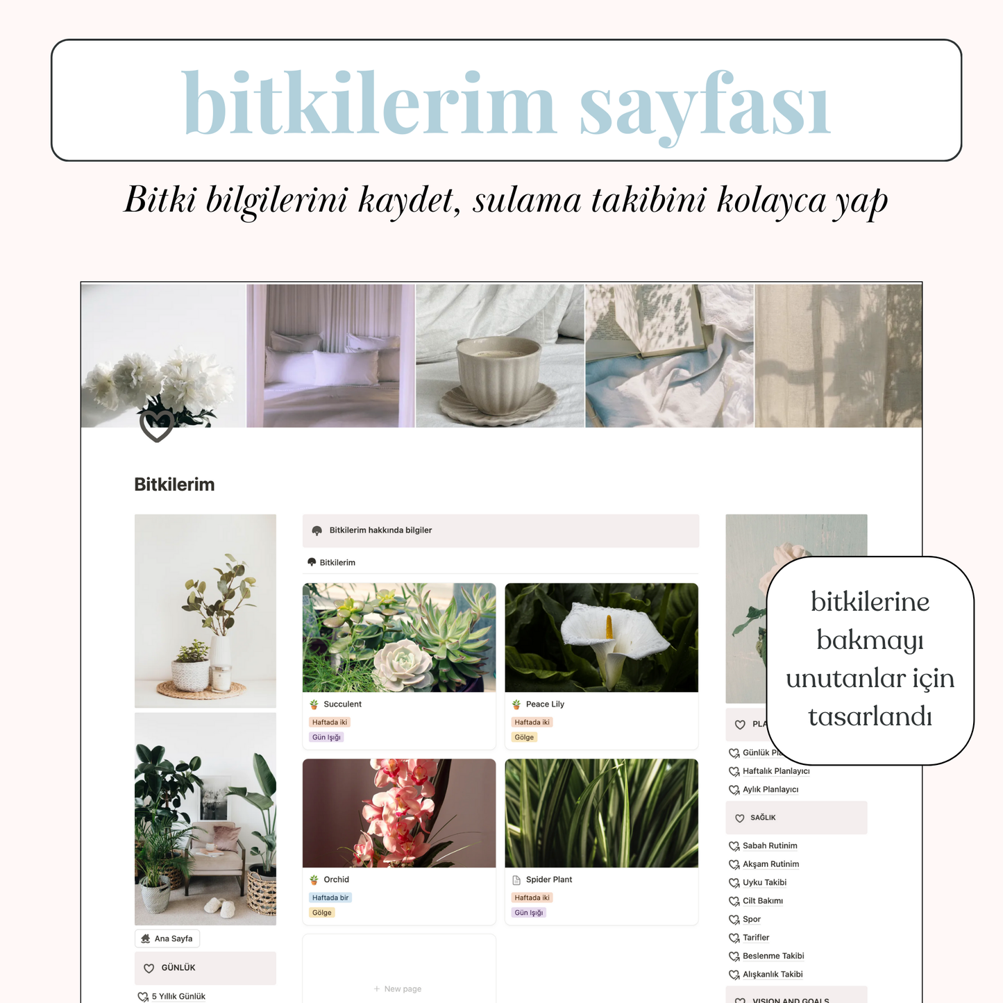 Hayat Planlayıcı Notion